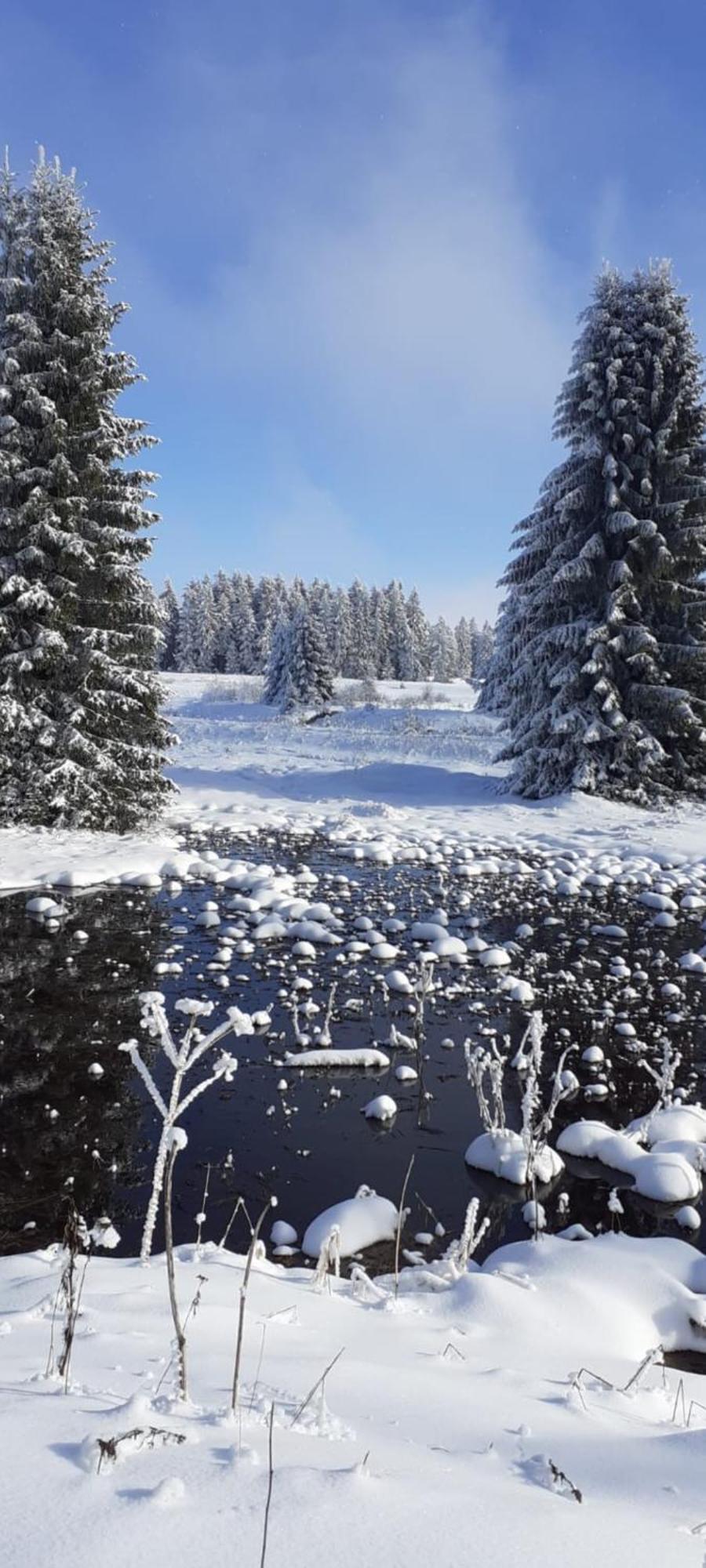 Restaurace A Penzion Vlci Jama Горни-Блатна Экстерьер фото